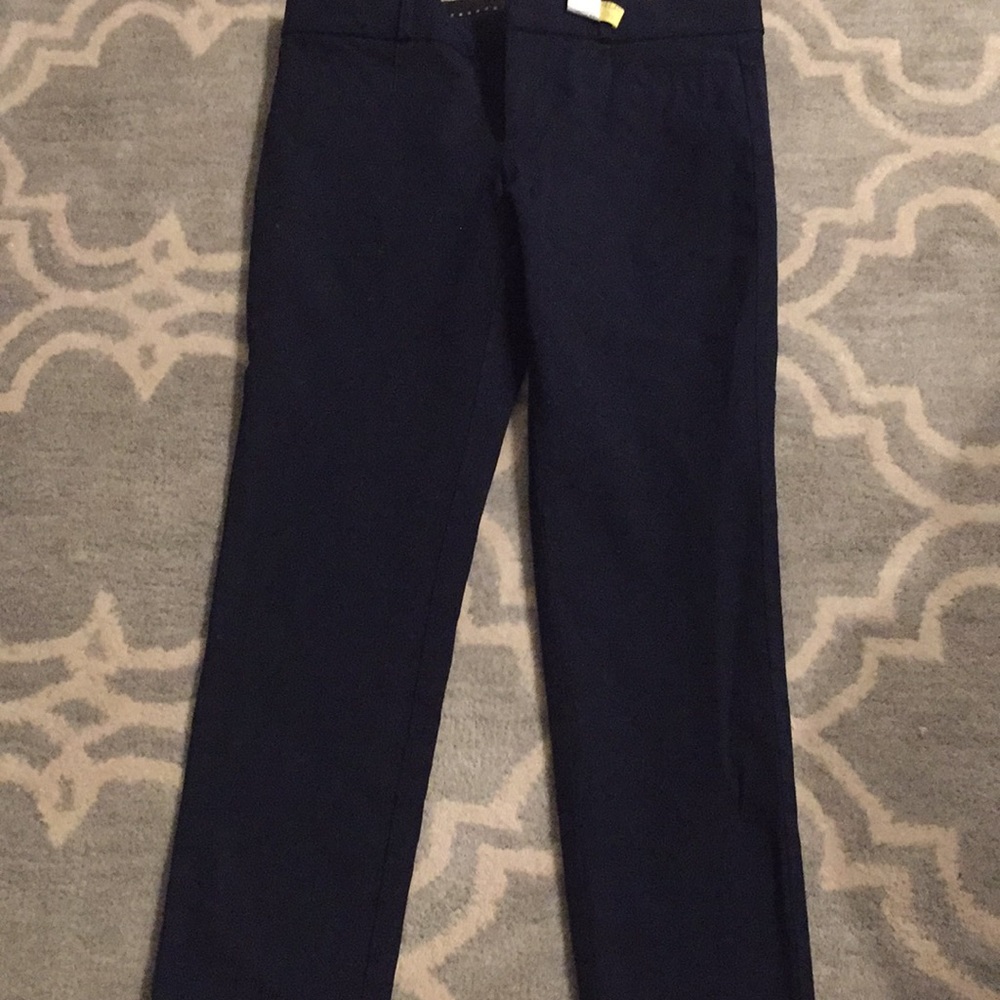 Banana Republic Sloan Pants (Dry Cleaned)
